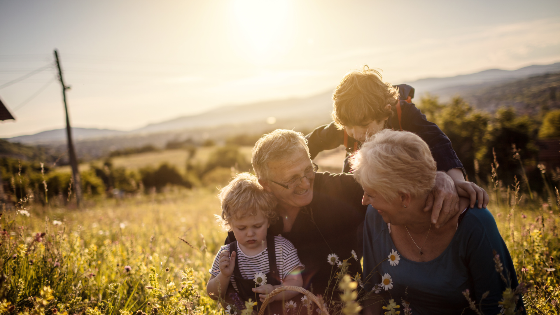 A family in a sunny meadow at golden hour