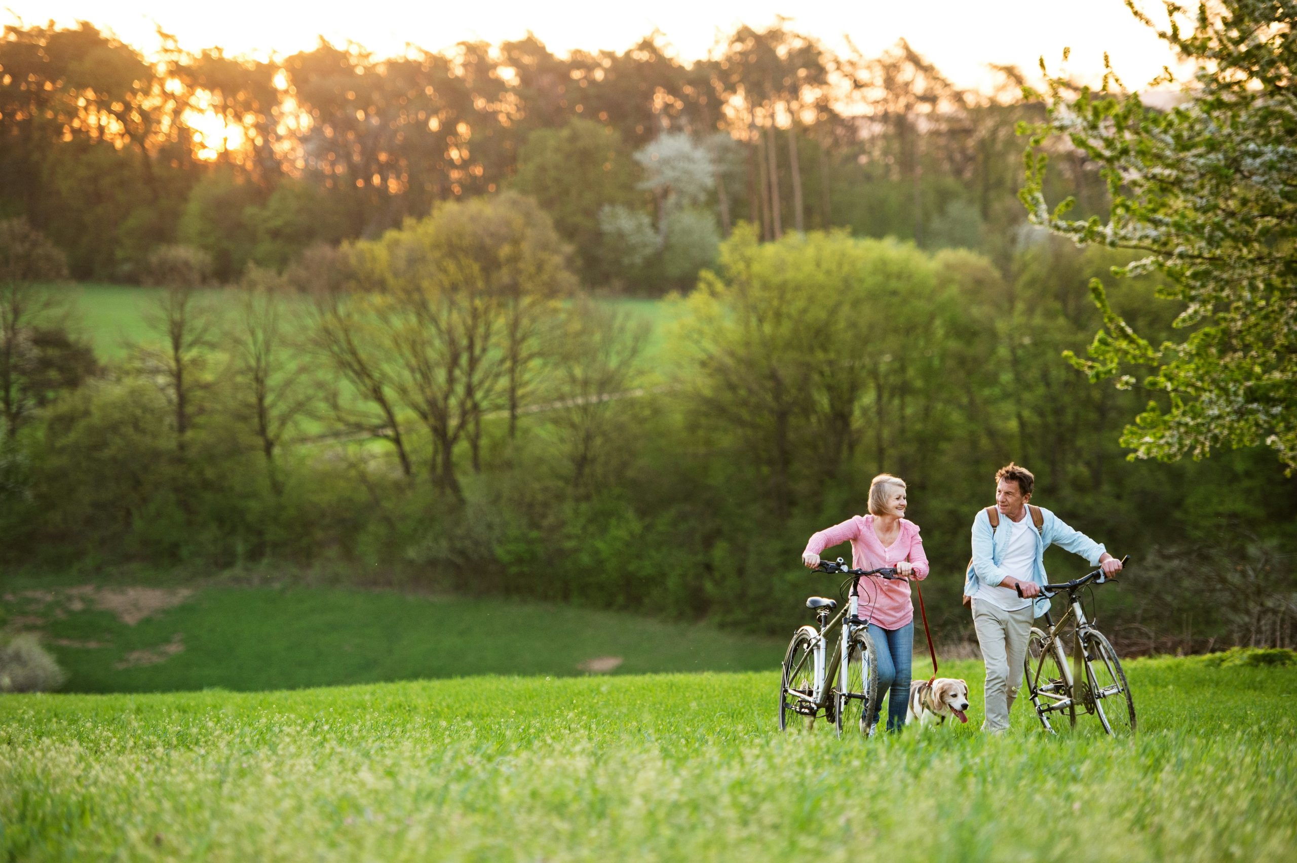 A couple looking ahead together from a scenic overlook
